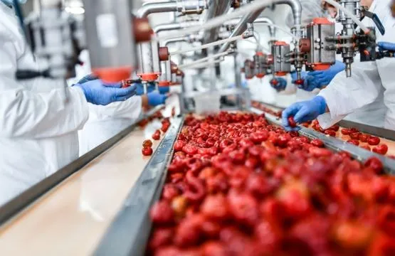 Food Processing